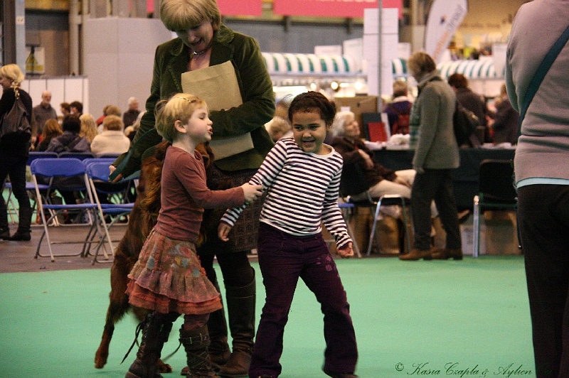 Crufts2011_2 140.jpg